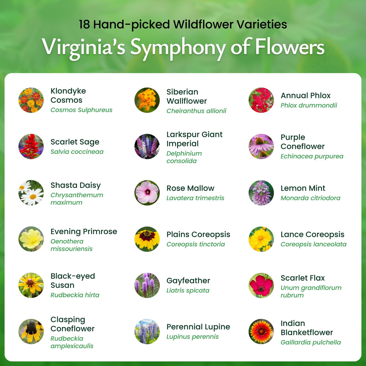 Created By Nature seed mix attracts bees and butterflies in gardens.