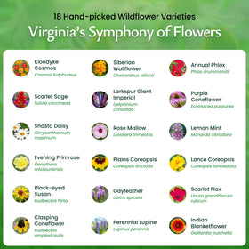 Created By Nature seed mix attracts bees and butterflies in gardens.