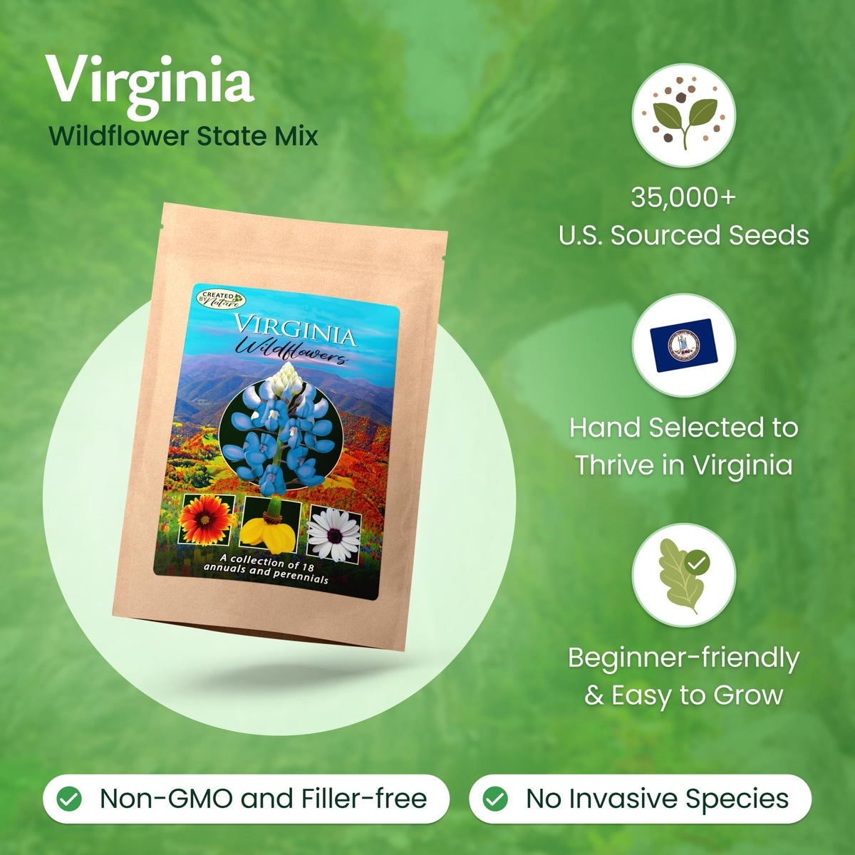 Created By Nature Virginia wildflower mix planted along a sunny border for color.
