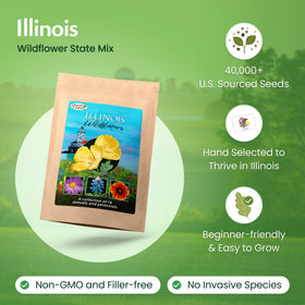 Created By Nature wildflower bed close-up with vibrant pollinator-friendly blooms.