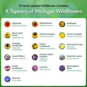 Created By Nature Michigan Wildflower Seed Mix going into soil highlights easy planting and germination.