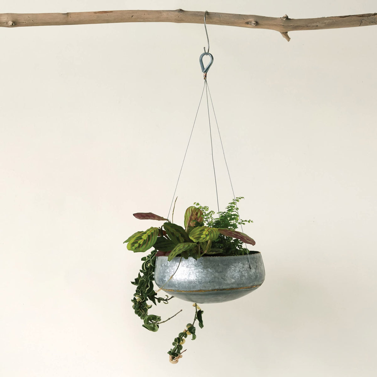 Creative Co-Op drainage hole detail helps prevent overwatering for healthy roots.