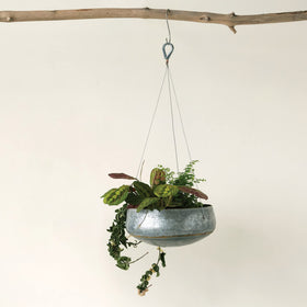 Creative Co-Op drainage hole detail helps prevent overwatering for healthy roots.