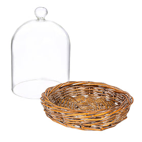 Creative Co-Op glass cloche features a handle for easy lifting.