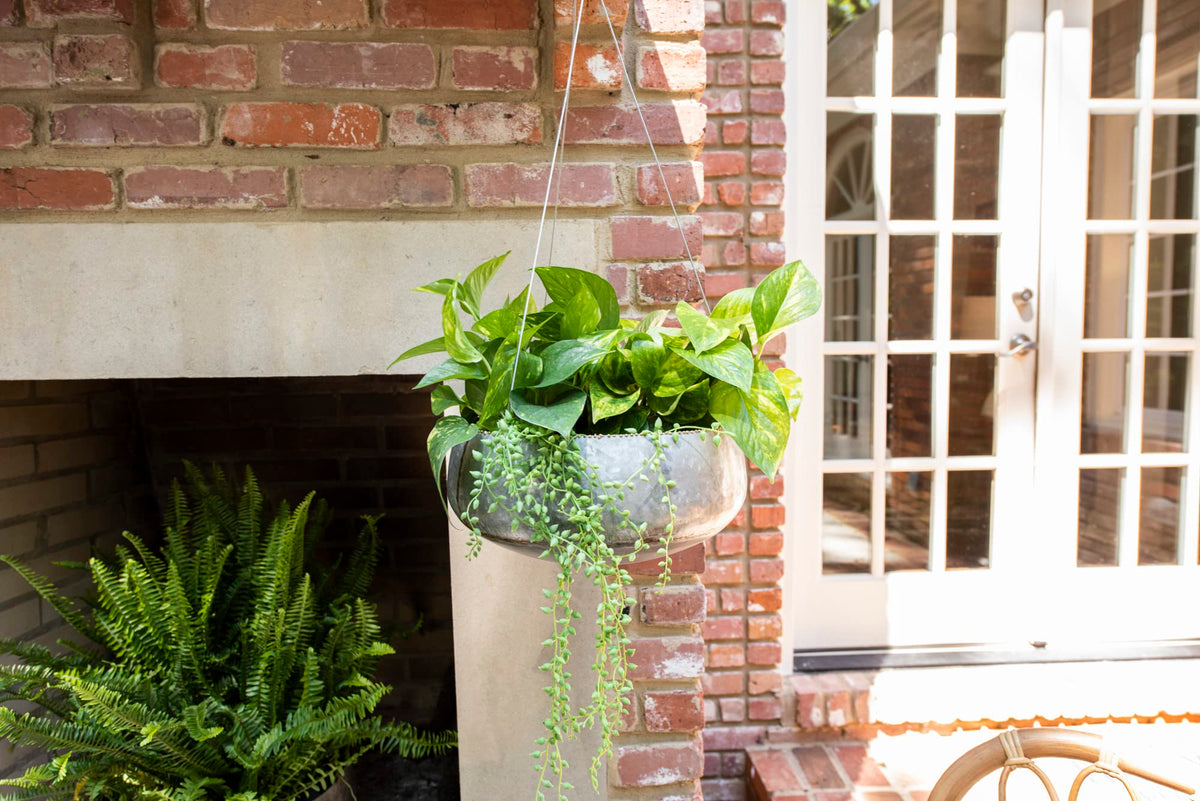 Creative Co-Op metal chain and hook for easy hanging on ceilings or branches.