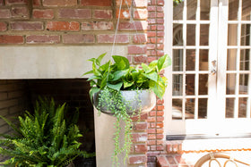 Creative Co-Op metal chain and hook for easy hanging on ceilings or branches.