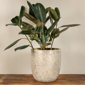 Creative Co-Op metallic gold stoneware planter stands 12.25 inches tall