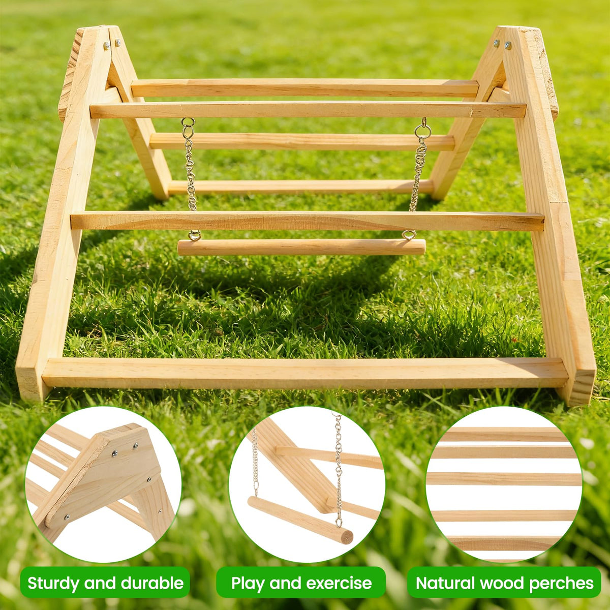 CREDAJUVEE baby chick perch designed for brooder stability