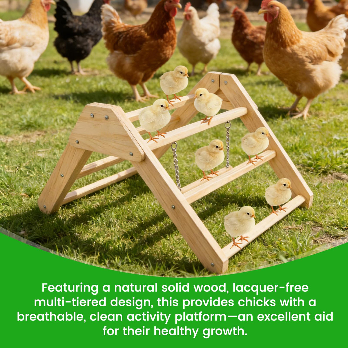 CREDAJUVEE chick roosting bar in aviary suited for parrots and small birds