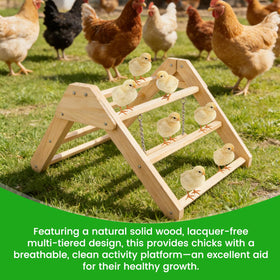 CREDAJUVEE chick roosting bar in aviary suited for parrots and small birds