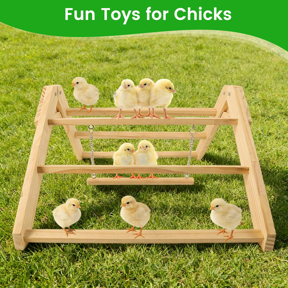 CREDAJUVEE easy-to-assemble perch for quick coop setup