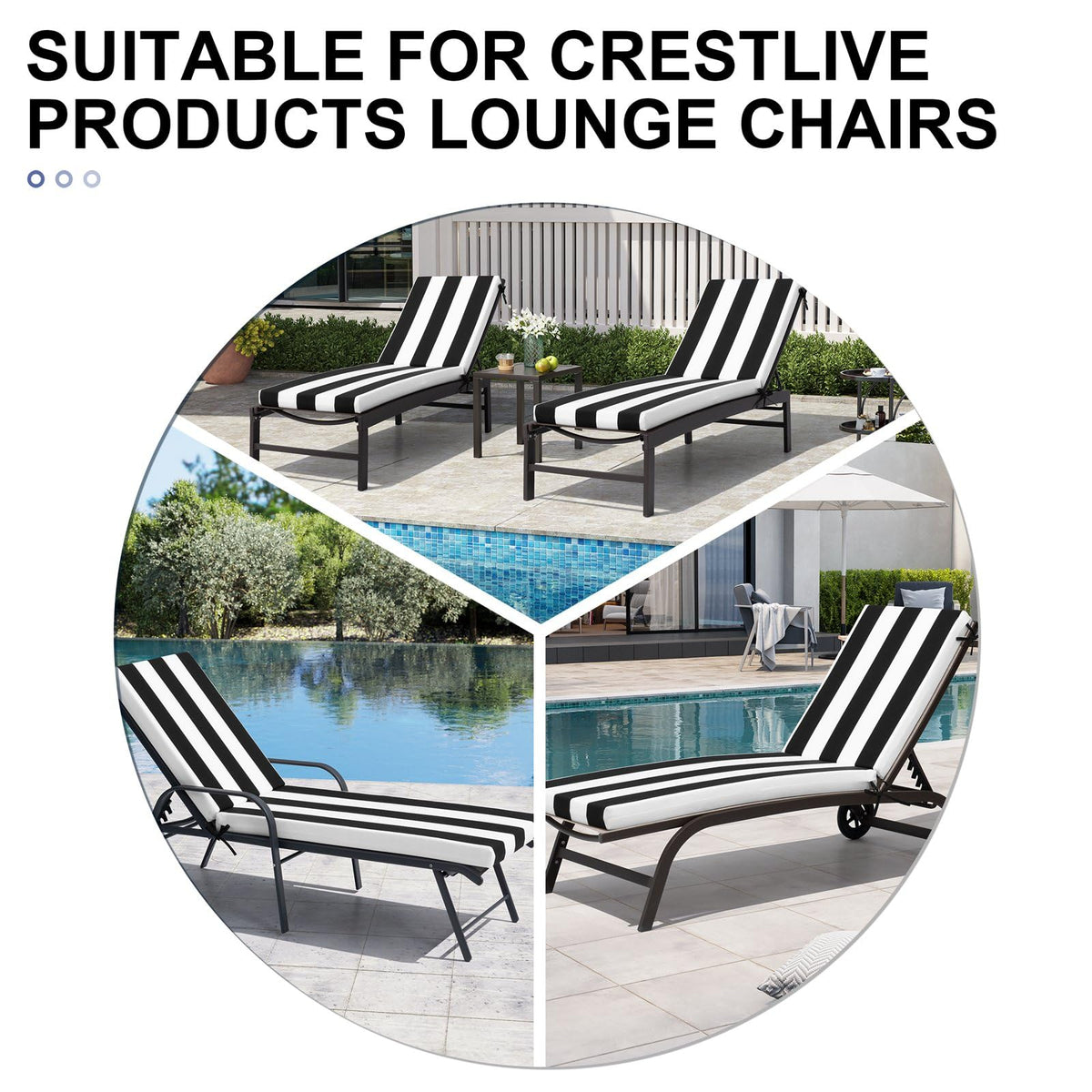 Crestlive offers a 3-year warranty and responsive support.