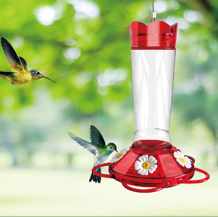 Crinature glass hummingbird feeder ant moat and bee-proof for backyard feeding.