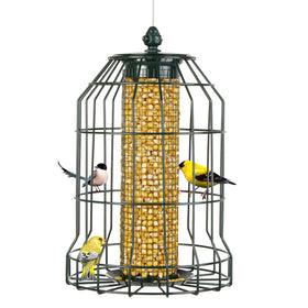 Crinature squirrel-proof feeder with cage mesh for small birds.
