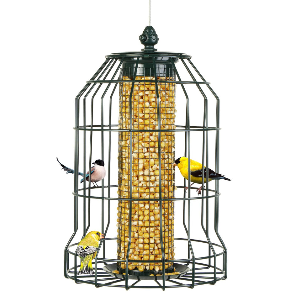 Crinature squirrel-proof feeder with cage mesh for small birds.