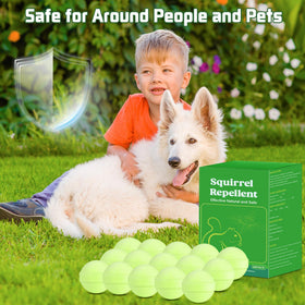 Crobirware garden and shed protection against squirrels.