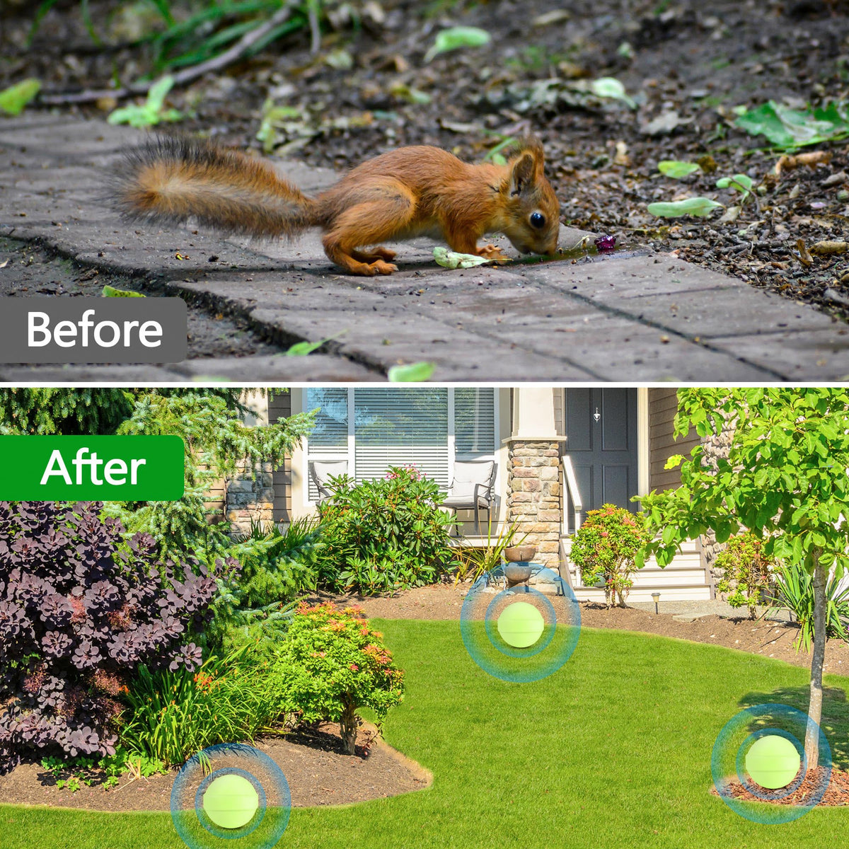 Crobirware safe-natural ingredients for homes with pets when used as directed.