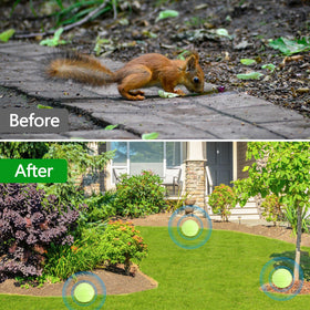 Crobirware safe-natural ingredients for homes with pets when used as directed.