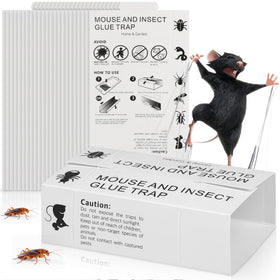 Crobirware 36Pack glue traps for mice in a kitchen corner for safe pest control.