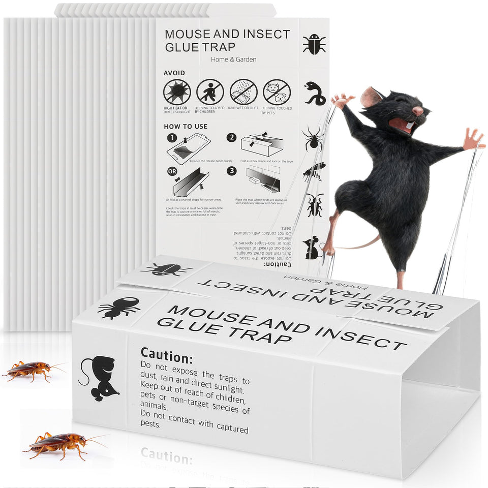 Crobirware 36Pack glue traps for mice in a kitchen corner for safe pest control.