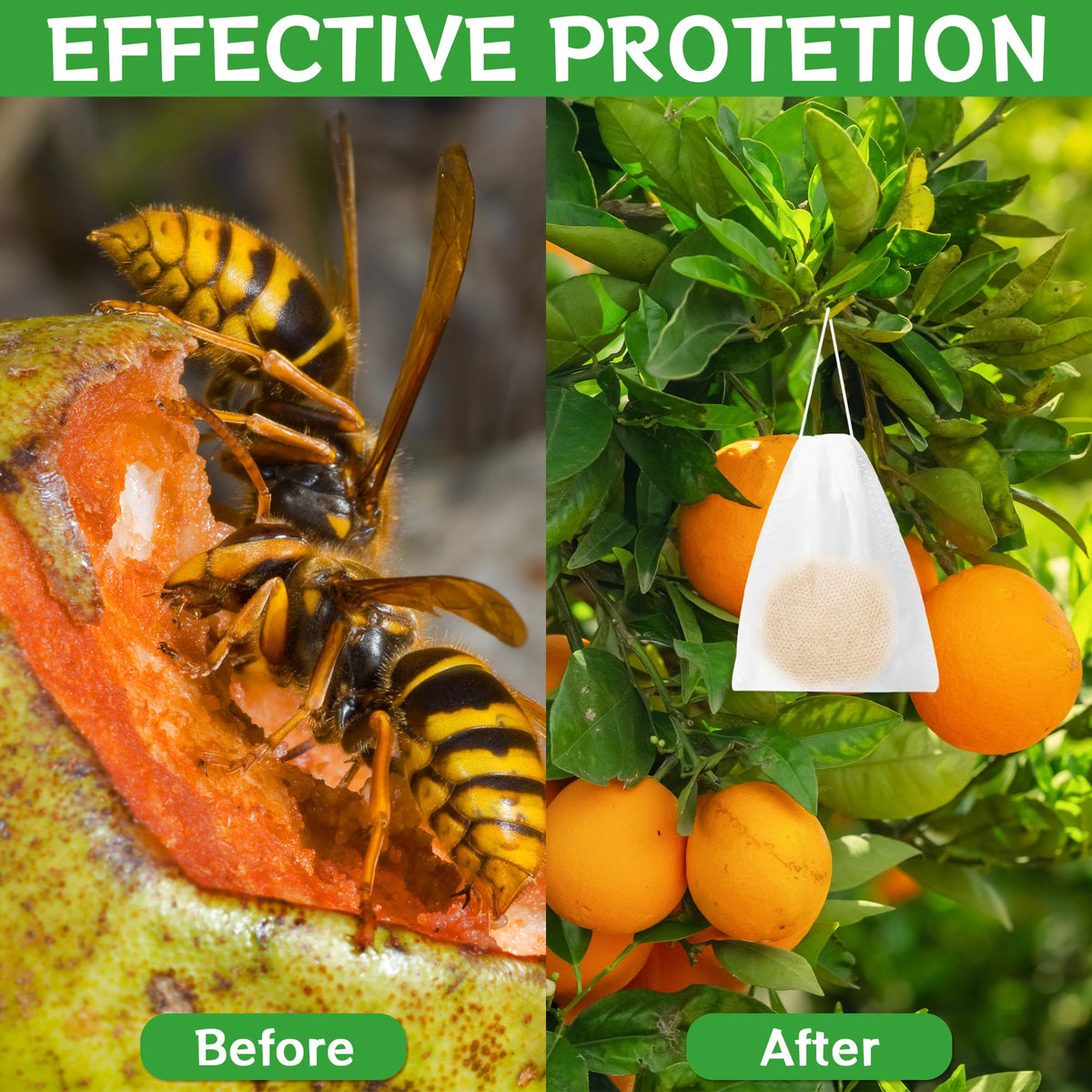 Crobirware patio use keeps outdoor living spaces wasp-free