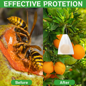 Crobirware patio use keeps outdoor living spaces wasp-free