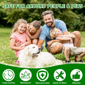 Crobirware is non-toxic and kid-safe for family use