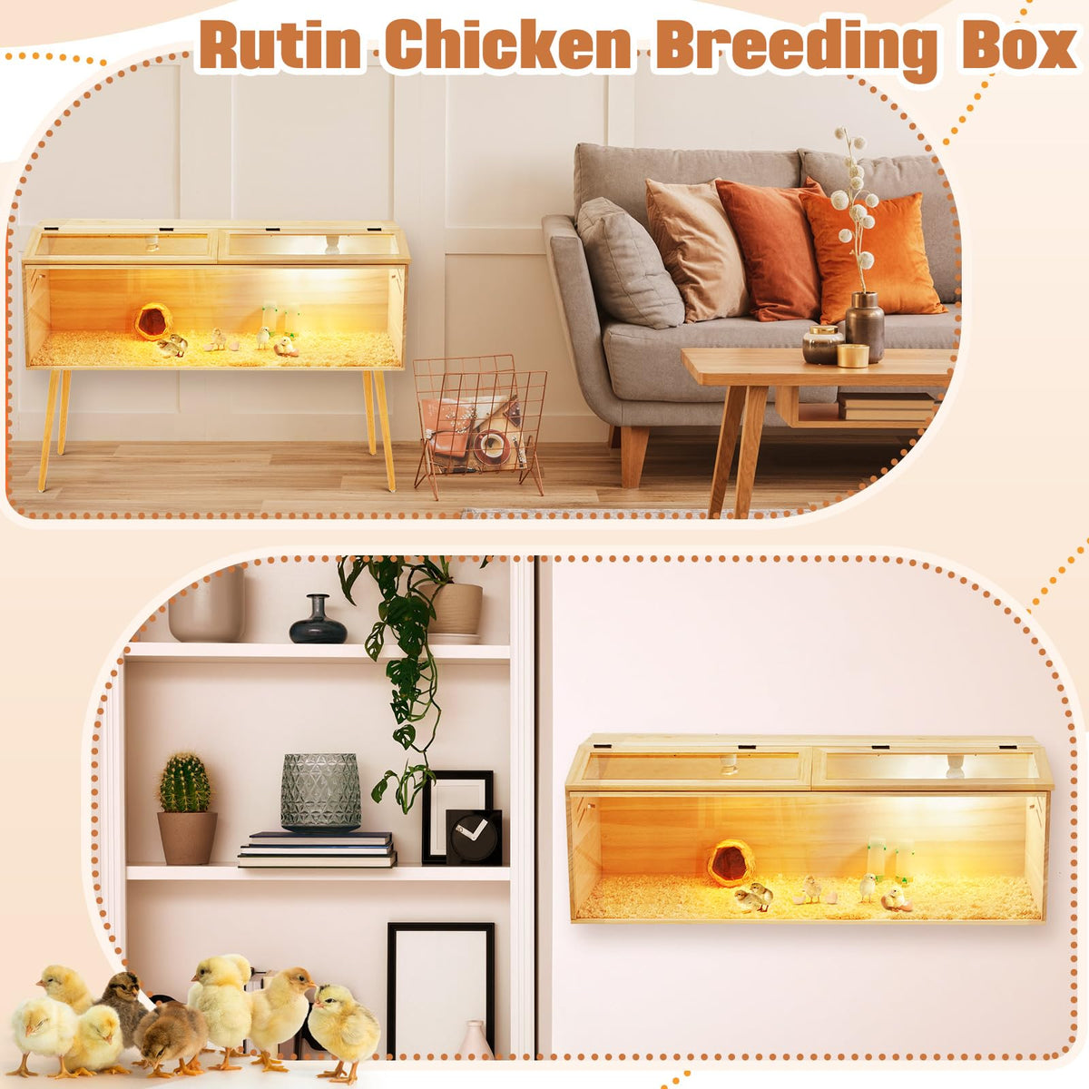 CroBlissful transparent acrylic panel allows clear viewing of pets.