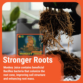 Cronk Nutrients Monkey Juice pouring action demonstrates easy weekly root inoculant use.