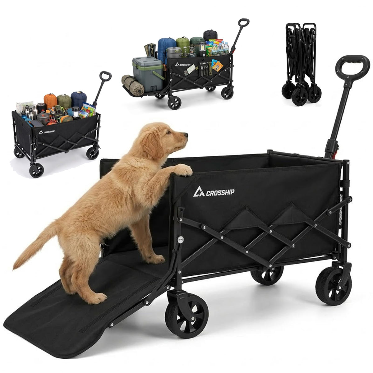 CROSSHIP folding pet wagon on a beach with a calm dog enjoying the ride