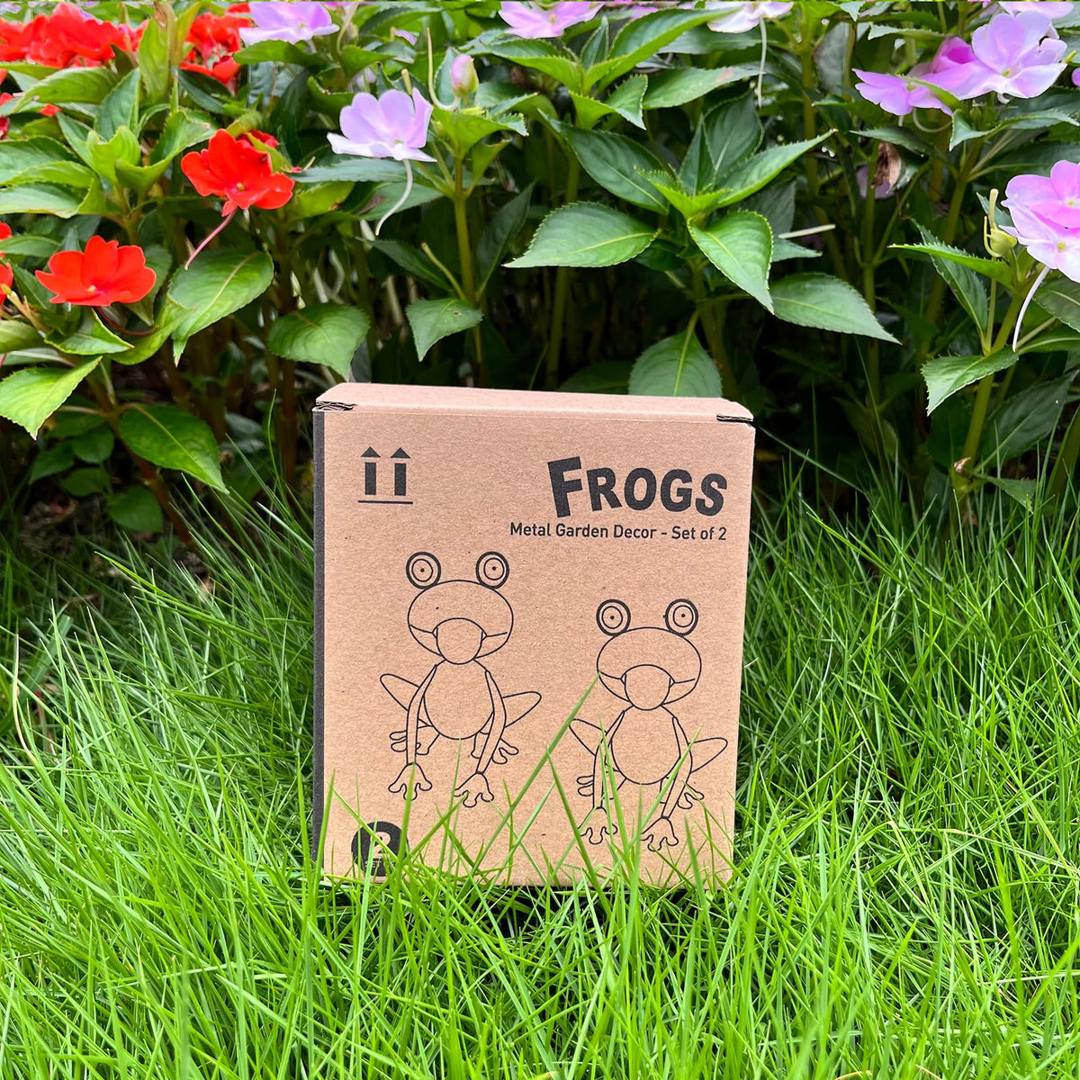 Cruis Cuka set of 2 frogs enhances any outdoor scene.