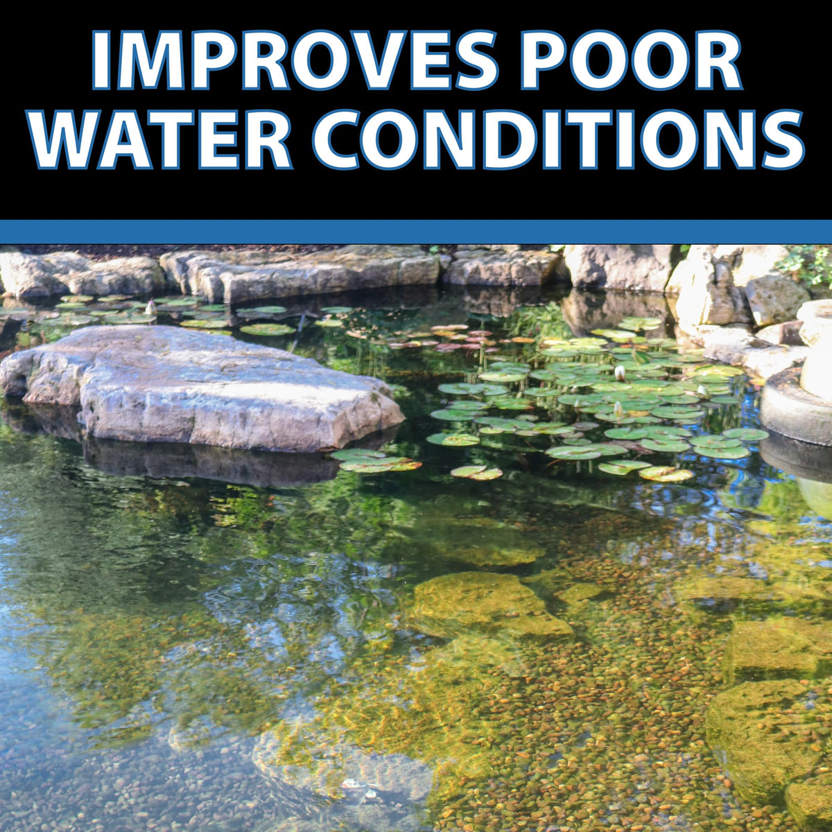 CrystalClear BioClarifier supports regular maintenance and seasonal care.