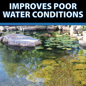 CrystalClear BioClarifier supports regular maintenance and seasonal care.