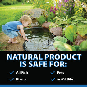 Algae stain removal in a pond with CrystalClear ClarityMax.