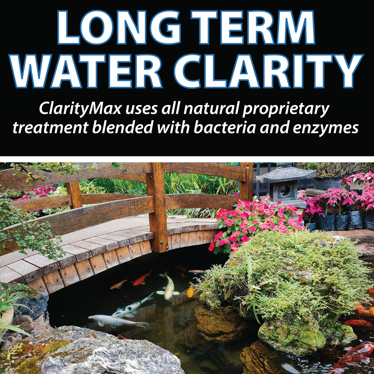 Close-up of crystal-clear pond water after ClarityMax treatment.