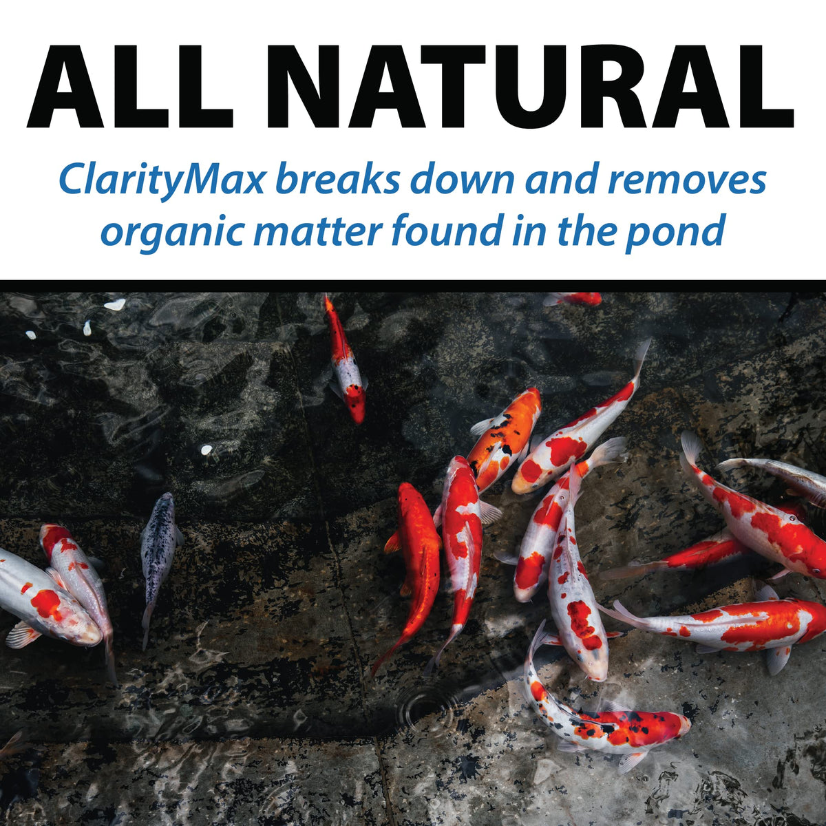 CrystalClear ClarityMax koi-safe for pond life and plants.