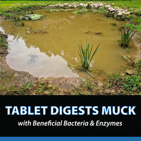 CrystalClear MuckOff 384-tablet supply provides ongoing pond maintenance.