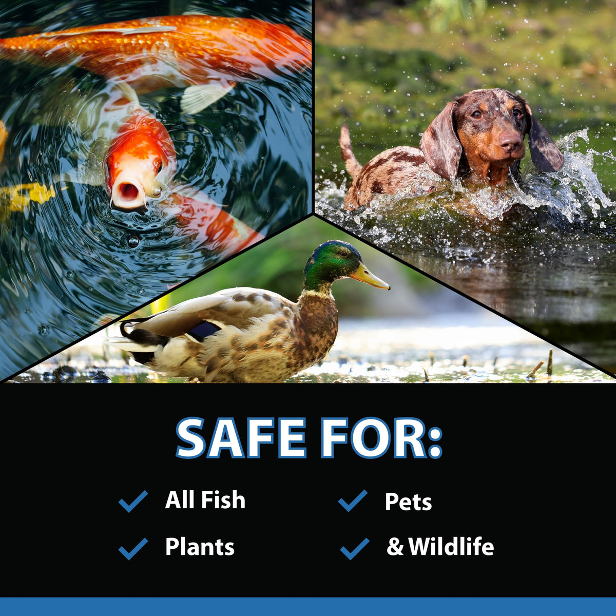 CrystalClear MuckOff easy-to-use tablets simply toss into water.