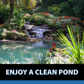 CrystalClear MuckOff supports clear water for koi ponds and bird baths.