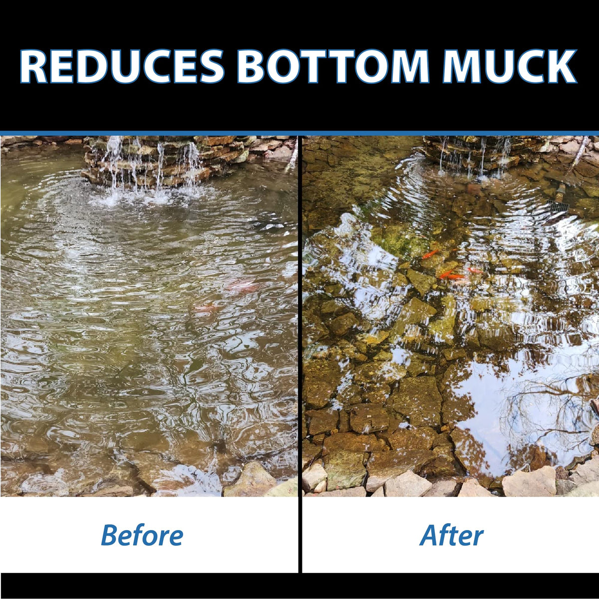 CrystalClear MuckOff safe for fish and aquatic life when used as directed.