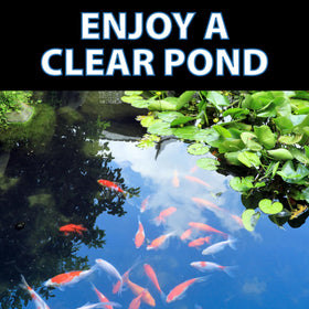 CrystalClear OneFix supports aquatic plants for healthier water features.