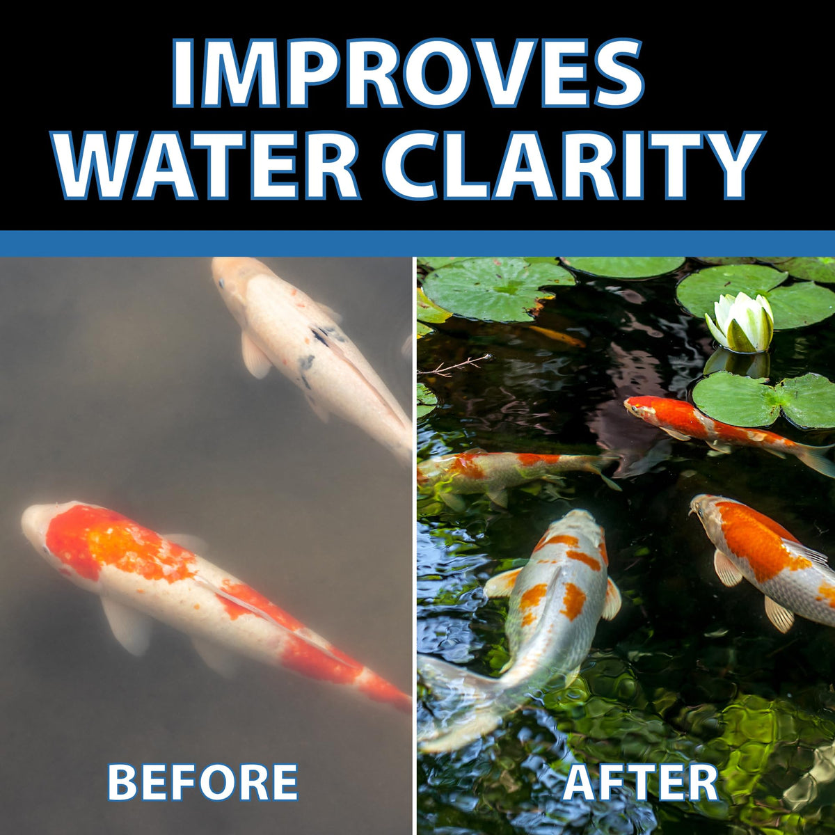 CrystalClear RapiClear bottle beside a waterfall feature in a pond setting.