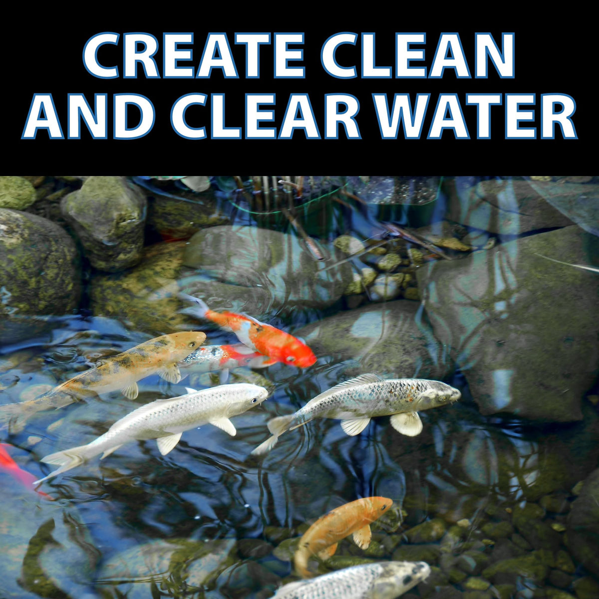 CrystalClear RapiClear safe for fish and plants when used as directed.