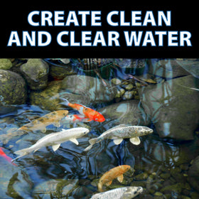 CrystalClear RapiClear safe for fish and plants when used as directed.