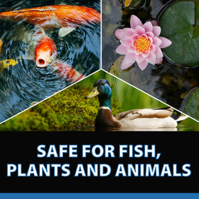 CrystalClear RapiClear result shows clearer pond water after treatment.