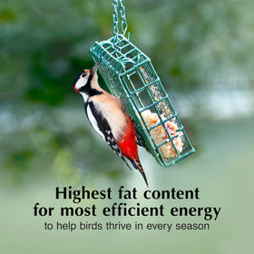 C&S Insect Suet Treat wrens and chickadees at feeder