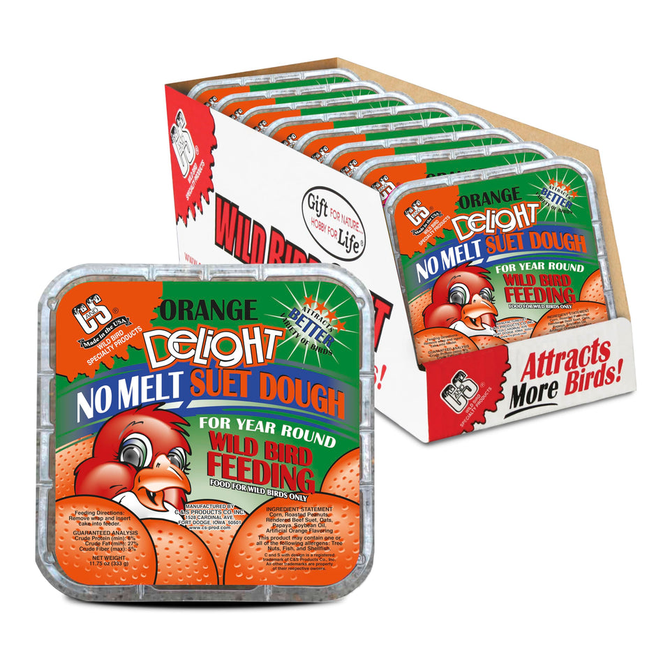 C&S Orange Delight No Melt Suet Dough pack at feeder, year-round energy for birds.