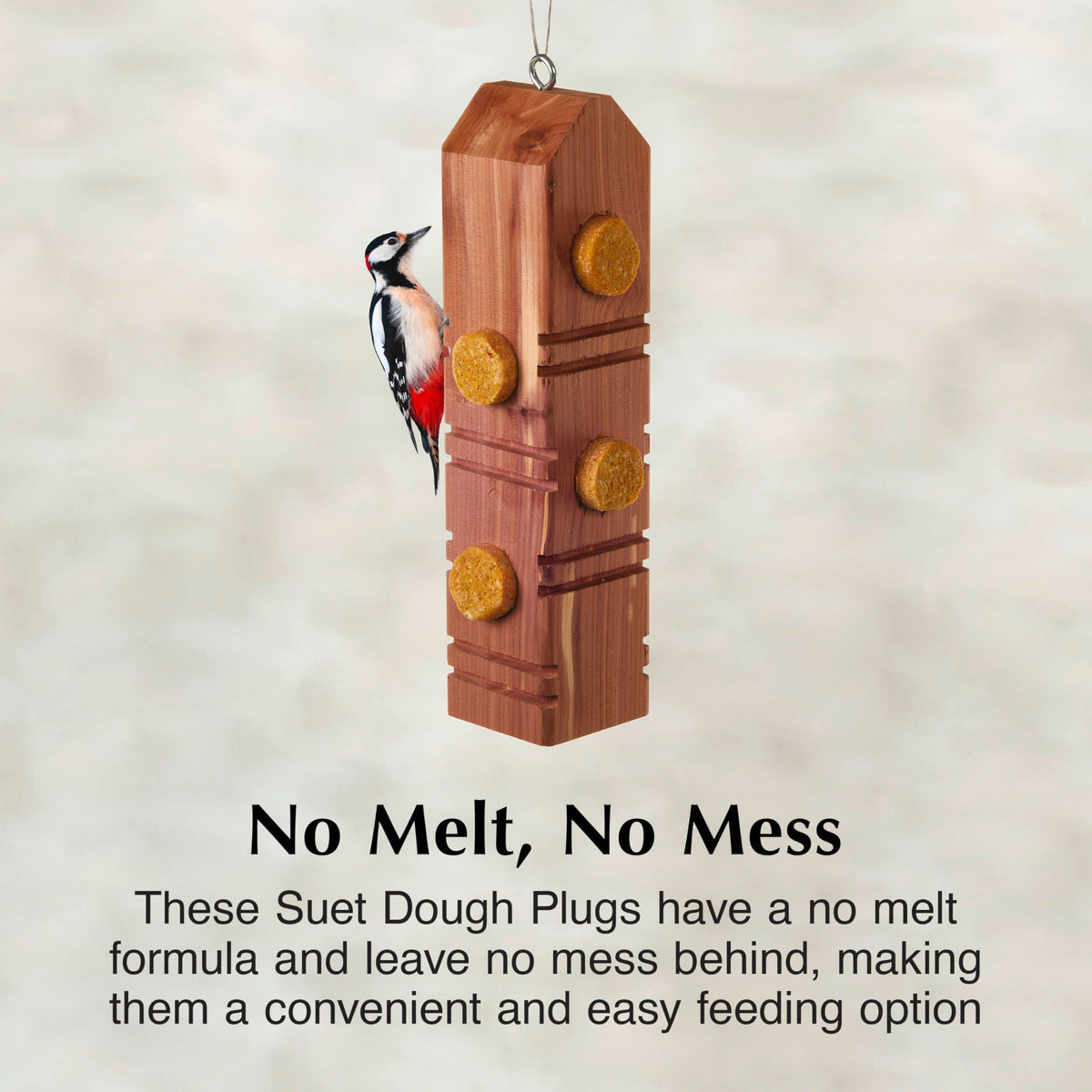 C&S no melt plugs in log feeder for clinging birds