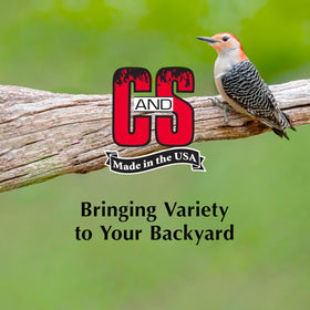 C&S Sunflower Suet Treat brings brown creepers to your feeder with inviting flavor