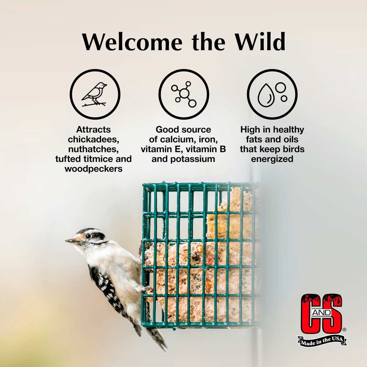 C&S Sunflower Suet Treat attracts woodpeckers with easy-to-digest energy